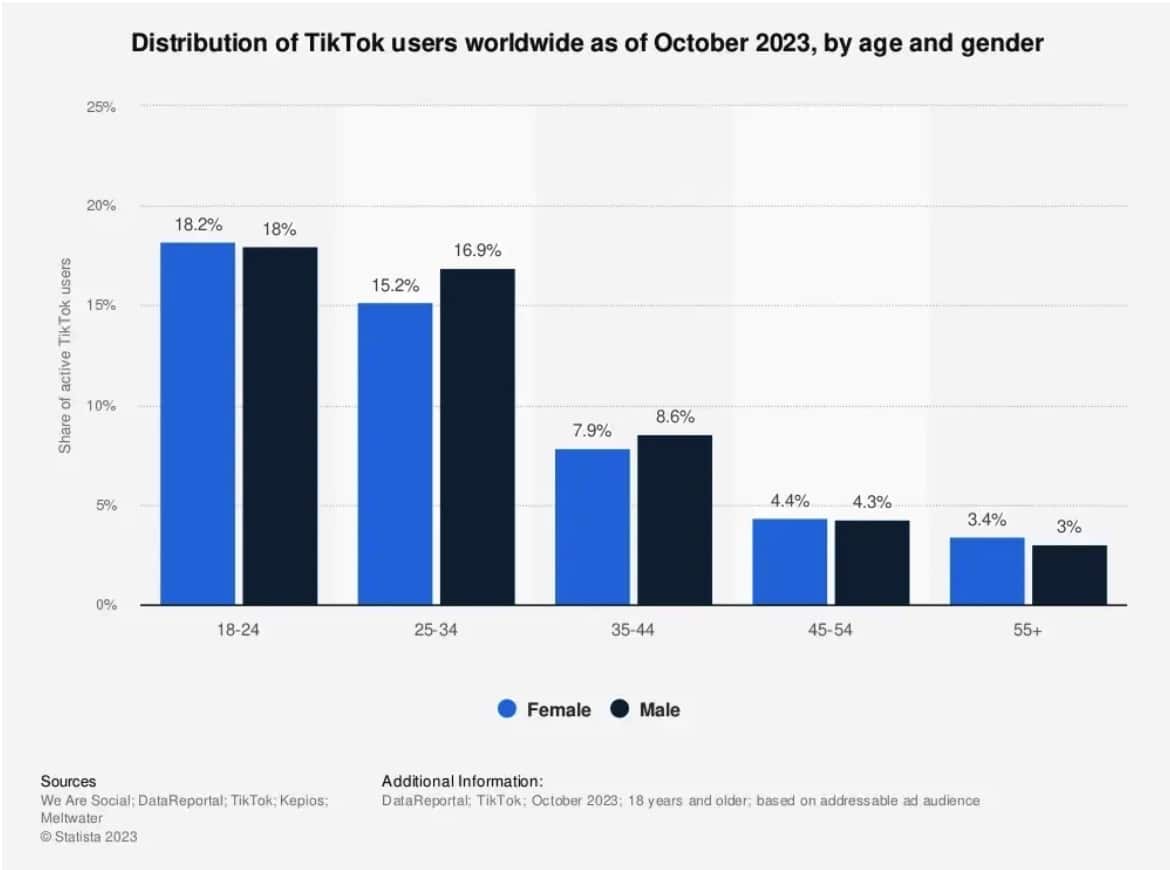 TikTok users worldwide